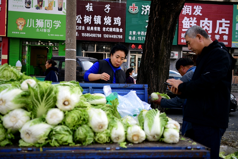 白山市民在选购白菜作为冬储菜，并开始腌制酸菜。国家税务总局白山市税务局供图 林俊宇摄