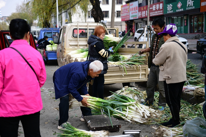 在白山市江北早市，冬储大葱因可以长期储存口味不变而成为市民采购的宠儿。 国家税务总局白山市税务局供图 林俊宇摄